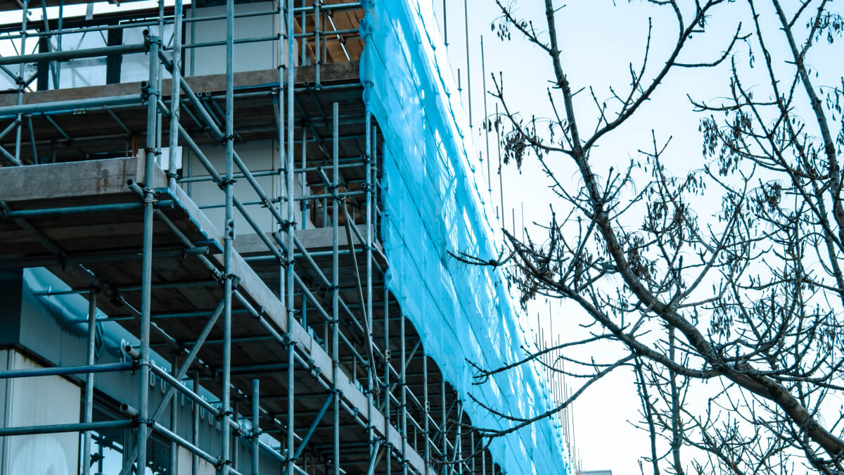 Scaffolding and tree