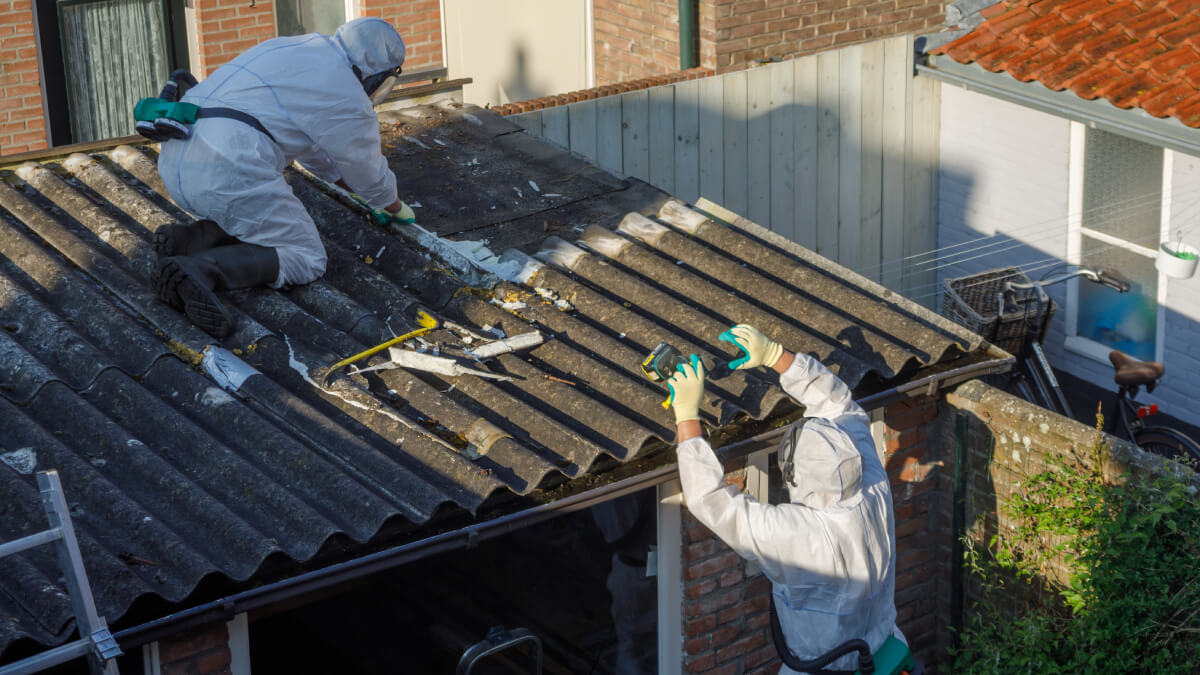Asbestos professionals